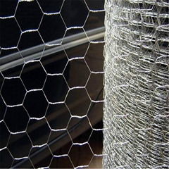 galvanized/pvc coated wire mesh netting