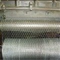 galvanized/pvc coated wire mesh netting 4