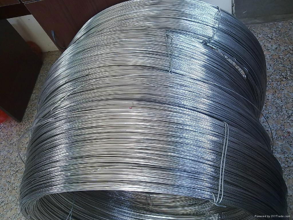 stainless steel wire 5