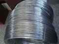 stainless steel wire 5