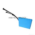 60V2200mAh total Li-ion battery pack 5