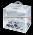 clear PP pet pvc hanger box 1