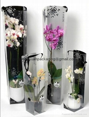 PVC Box For Artificial Flower and Plant