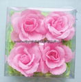 PVC Box For Artificial Flower and Plant 3