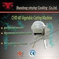 CHD-20 Vegetable Cutting Machine for