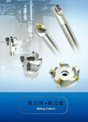 Changable milling cutter series BBMS DP 250 60 14T BBMS DP 315 60 16T BBMS DP 35