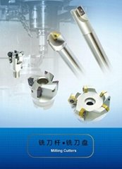 Changable milling cutter series BBMS DP
