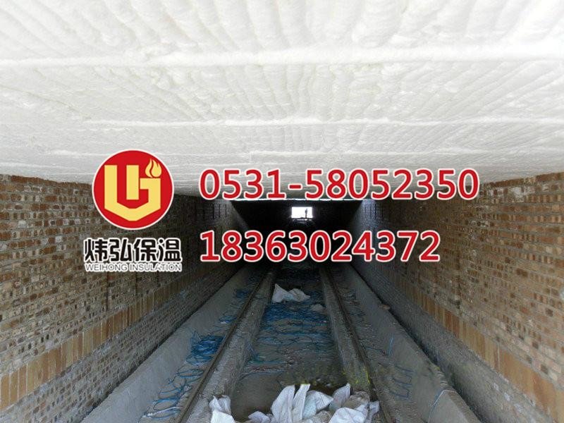 最新隧道窑保温用陶瓷纤维棉 4