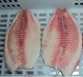 CO treated tilapia  fillets 1