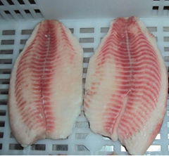 CO treated tilapia  fillets