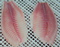 CO treated tilapia  fillets 2