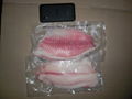 CO treated tilapia  fillets 5