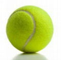 tennis ball companies