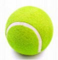 tennis ball companies 4