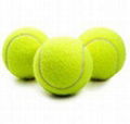 prince tennis balls