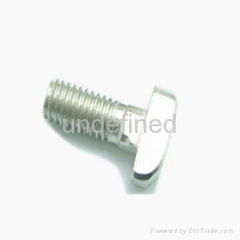 hammer head screw