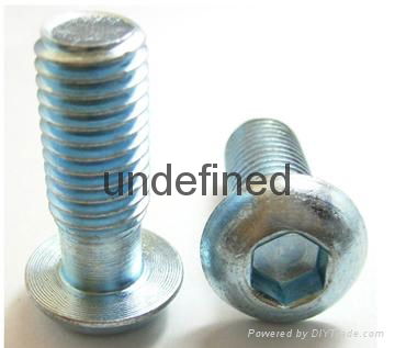 Butoon Head Screw