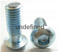 Butoon Head Screw