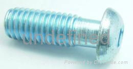 Butoon Head Screw 2