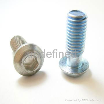 Butoon Head Screw 3