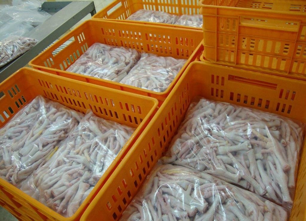 Grade A Processed Frozen Chicken Feet & Paws For Sale 2