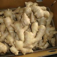 Dry Ginger Whole For Sale