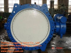 Bs Cast Iron Butterfly Valve