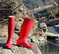 High Quality Womens Gum Boots Wellington boots 3