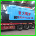 DZL Coal Biomass hot water boiler for sale 2