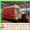 DZL Coal Biomass hot water boiler for sale 3