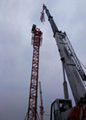 QTZ50(5008) Tower Cranes