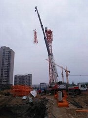 QTZ63(5610) Tower Cranes