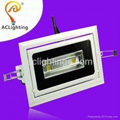 0-45° angle Rotated LED Downlight 