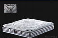 soft Fire Retardant memory foam hotel bed  latex spring mattress