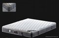 soft Fire Retardant memory foam hotel bed  latex spring mattress 1