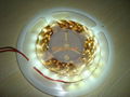 12v/24v SMD 3528 LED Strip Light for Decoration 5