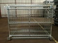 Folding wire mesh cage