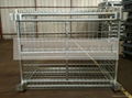 1200*1000*890mm Standard big-sized foldable wire mesh cage 4