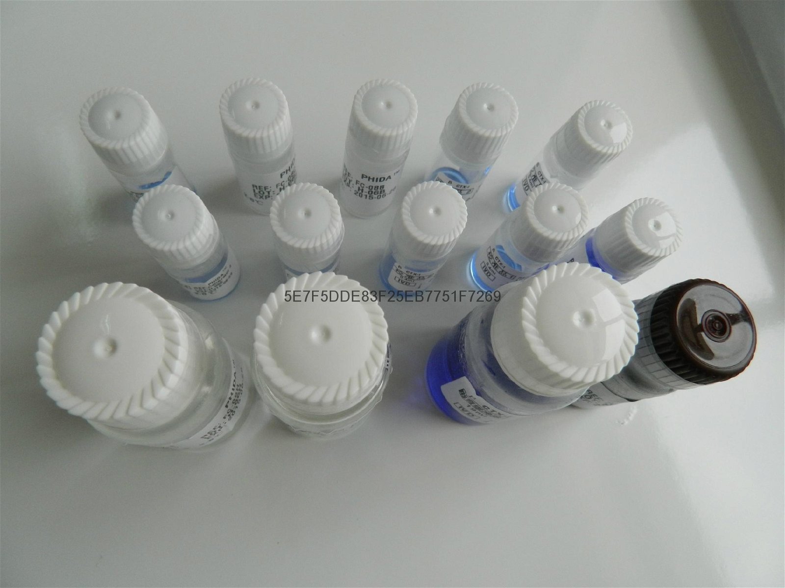 血清抗酒石酸酸性磷酸酶5b檢測試劑盒