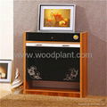 elegant beautiful furniture Creative Design wooden shoe cabinet 