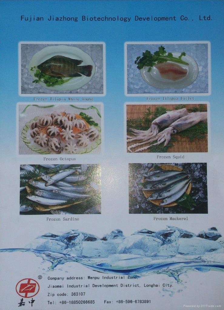 sardine frozen for bait2014, IQF  2