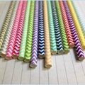 chervon paper straw for party