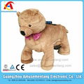 c amusementang bear plush names of