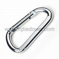 Carabiner hook