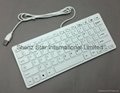 Mini Keyboard USD 2.0 Chocolate Keys