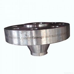 Weld Neck Raised Face Flange