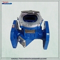 dual track ultrasonic water meter 1