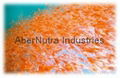 Antractic Krill Oil 1