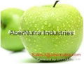 Apple Extract (CAS: 29106-49-8)