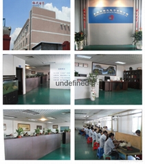 Dongguan Meishi Electronics Co., Ltd.